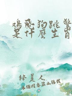 鸡飞狗跳惊四起是什么生肖