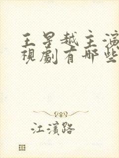 王星越主演的电视剧有哪些