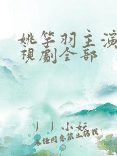 姚竿羽主演的电视剧全部