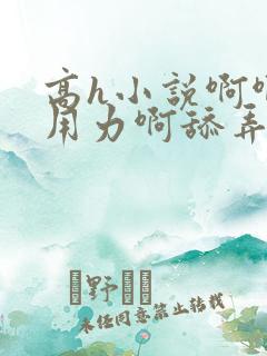 高h小说啊啊啊用力啊舔弄小
