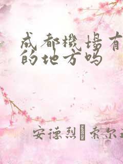 成都机场有租车的地方吗