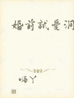 婚前试爱洞房