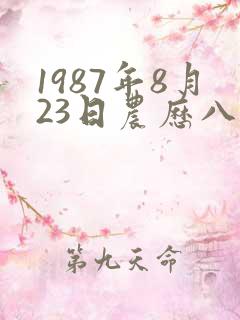 1987年8月23日农历八字