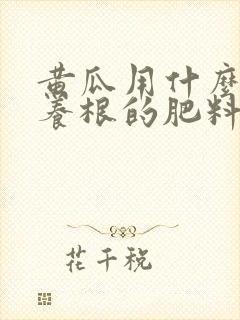 黄瓜用什么生根养根的肥料