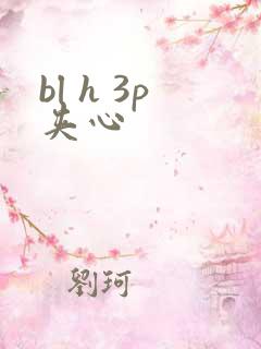 bl h 3p夹心