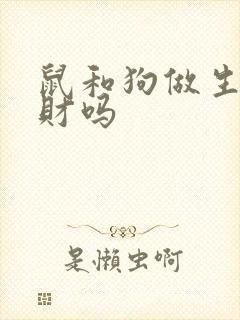 鼠和狗做生意合财吗 鼠和狗做生意合财吗