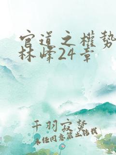 官道之权势滔天林峰24章