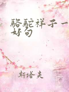 骆驼祥子一二章好句