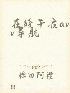 在线午夜avav导航