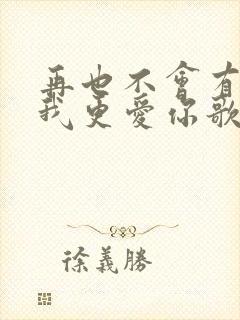 再也不会有人比我更爱你歌词