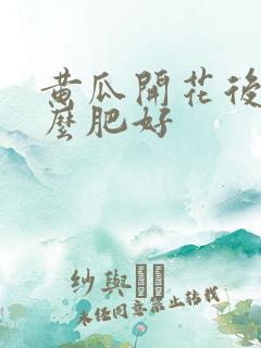 黄瓜开花后施什么肥好