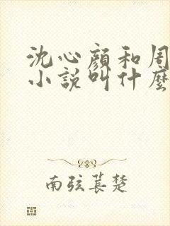 沈心颜和周昱琛小说叫什么名字