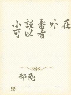 小说番外在哪里可以看