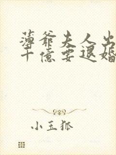 薄爷夫人出价一千亿要退婚小说的免费阅读