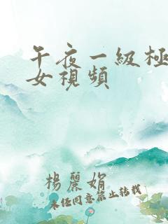 午夜一级极品美女视频