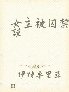 女主被囚禁的小说