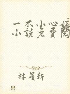 一不小心嫁总裁小说免费阅读 一不小心嫁总裁小说免费阅读