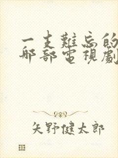 一支难忘的歌是哪部电视剧的插曲