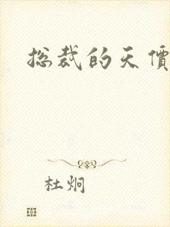 总裁的天价妻子