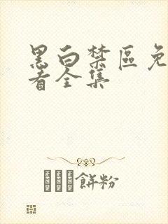 黑白禁区免费观看全集