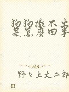 狗狗撒不出来尿是怎么回事