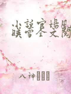 小说官场风月江映雪全文阅读