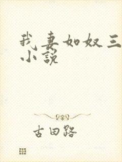 我妻如奴三部曲小说