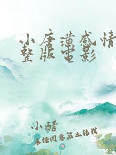 小唐璜感情史完整版电影