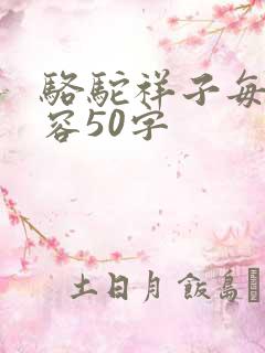 骆驼祥子每章内容50字