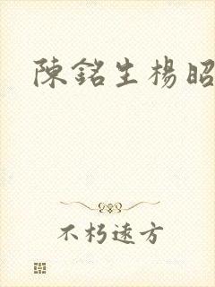 陈铭生杨昭小说 陈铭生杨昭小说