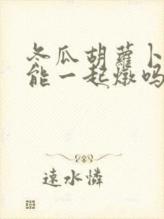冬瓜胡萝卜排骨能一起炖吗