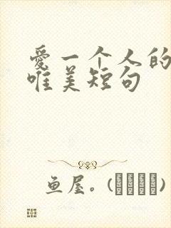 爱一个人的句子唯美短句