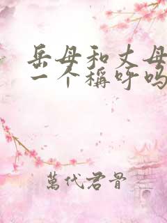 岳母和丈母娘是一个称呼吗
