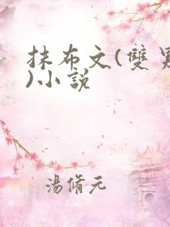 抹布文(双男主)小说