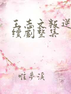 王志文叛逆者连续剧整集