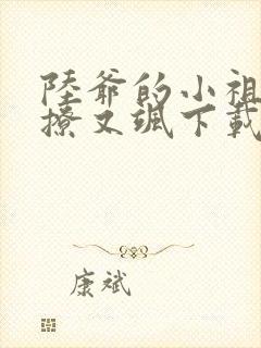 陆爷的小祖宗又撩又飒下载全文