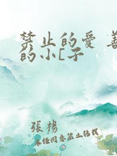 禁止的爱 善良的小[子