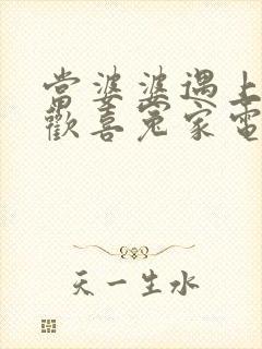 当婆婆遇上妈之欢喜冤家电视剧全集