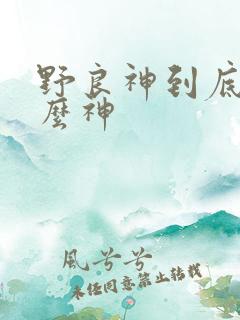 野良神到底是什么神
