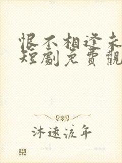 恨不相逢未嫁时短剧免费观看