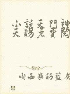 小说天门神医叶天赐免费阅读