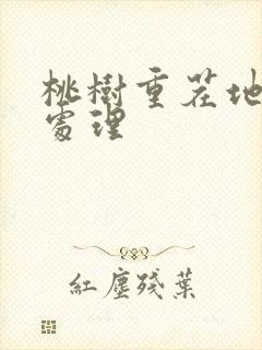 桃树重茬地怎么处理