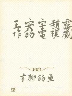 王安宇赵露思合作的电视剧