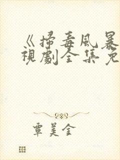 《扫毒风暴》电视剧全集免费观看