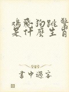 鸡飞狗跳惊四起是什么生肖
