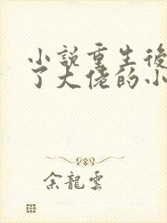 小说重生后我成了大佬的小心肝
