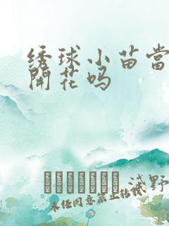 绣球小苗当年能开花吗