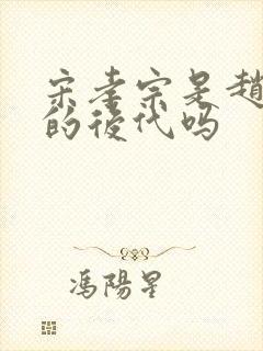 宋孝宗是赵匡胤的后代吗