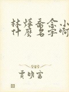 林烨乔念小说叫什么名字啊