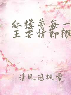 红楼梦每一回的主要情节概括100字